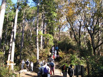 高尾山頂直下の階段