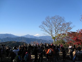 高尾山からの富士山