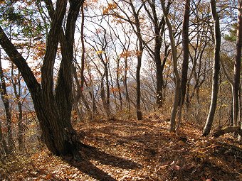 九鬼山・田野倉尾根　分岐