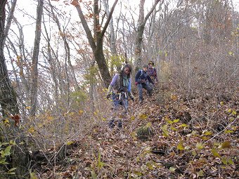 馬立山からの急下り