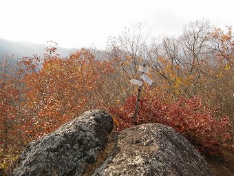 菊花山　山頂