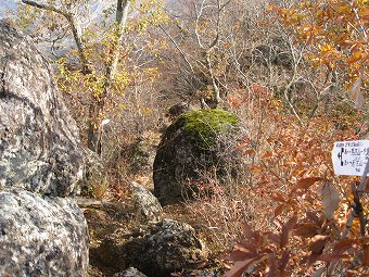 菊花山　岩下り