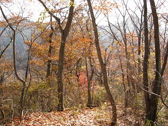 名残の紅葉