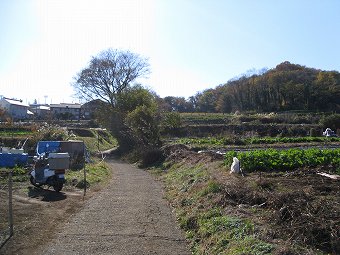 渋沢丘陵へ