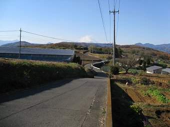 富士山