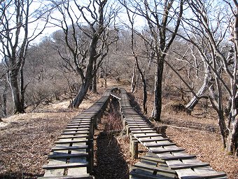 丹沢の木道