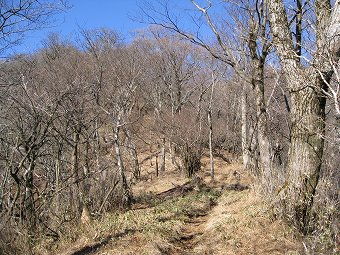 大室山へ