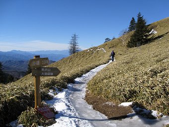 熊沢山