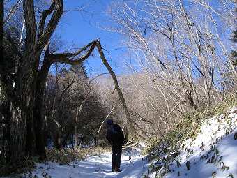 上日川峠へ