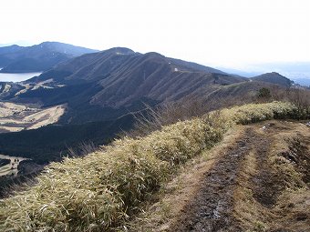 丸岳からは南面の緩やかな下り