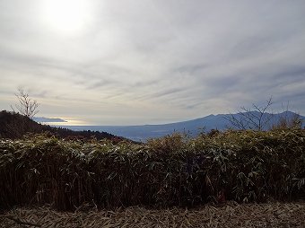 駿河湾