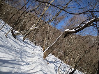 明るい雪道