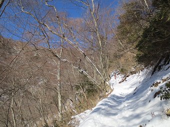 西側の山腹道