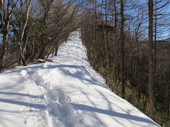 七ツ石小屋分岐過ぎ