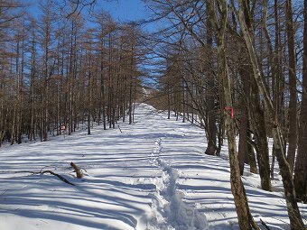 高丸山分岐