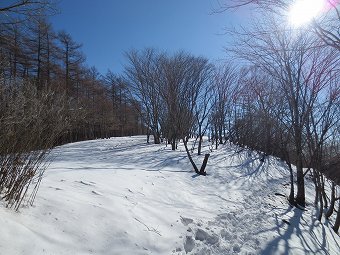 日陰名栗峰分岐