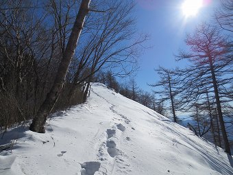 壺足トレース