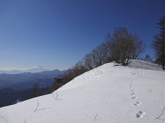 日陰名栗峰