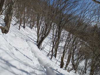 鷹ノ巣山　巻き道