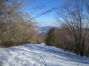 川苔山見つつ