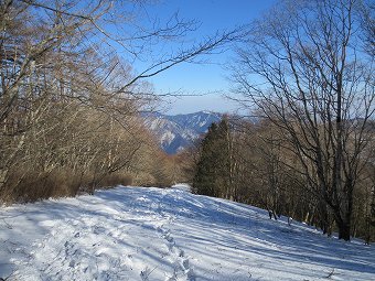 川苔山見つつ