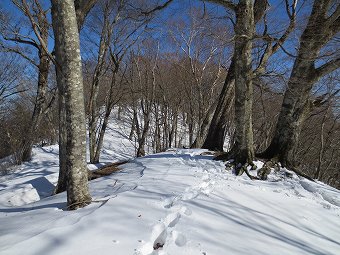 城山付近