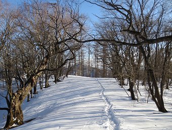 ハンノ木尾根