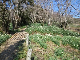 すいせん遊歩道