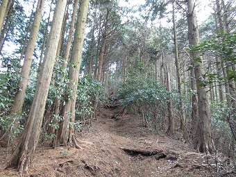 高取山への急登