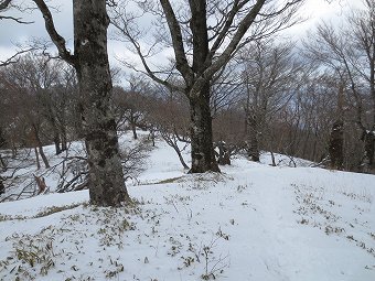 熊笹ノ峰あたり