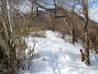 犬越路トンネル分岐手前