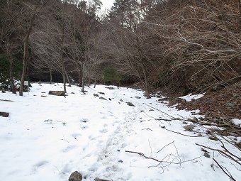 用木沢