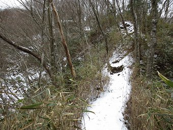 展望台へ