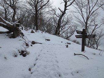 石棚山稜　分岐