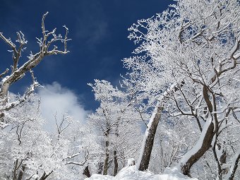 霧氷