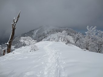 笹の稜線