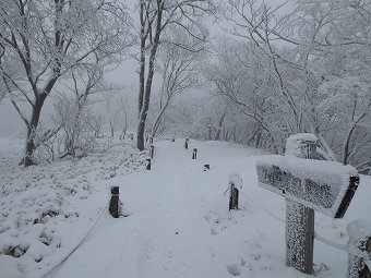 丹沢山へ