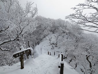 塔ノ岳へ