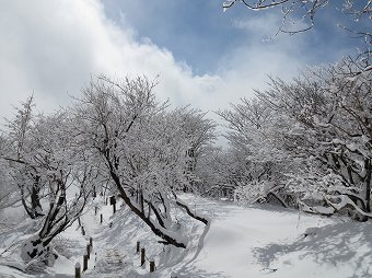 鍋割山稜へ