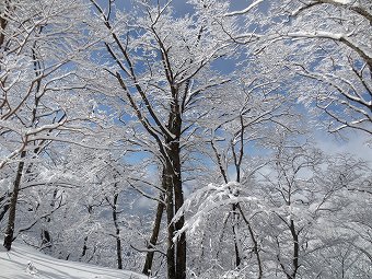 鍋割山稜　雪景色