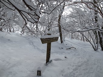 小丸尾根分岐