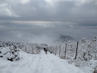 塔ノ岳へ