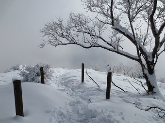 小丸尾根