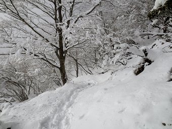 雪の小丸尾根