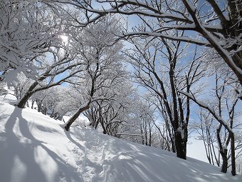 塔ノ岳直下