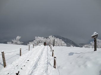 塔ノ岳へ