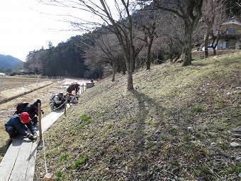 四季の森　星野