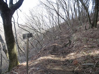 日光の山々