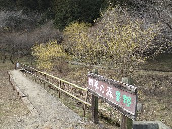 四季の森　星野