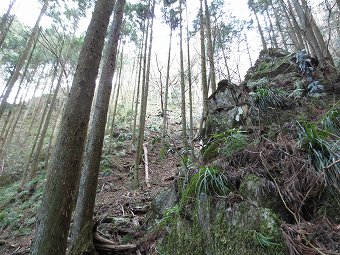 浅間神社鍾乳洞分岐